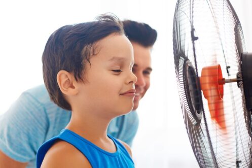 Whole-house dehumidifiers in Raceland, LA